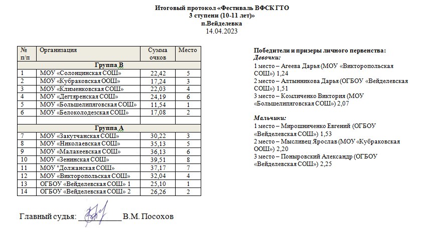 Фестиваль ГТО III ступени.